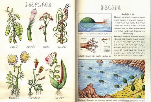 codexseraphinianus1